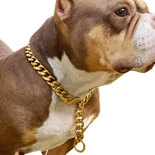 Miniatura 11 de Cierres de langosta fuertes ajustables para perros, collar de titanio, para entrenamiento, caminar, de metal, a prueba de masticación, para perros