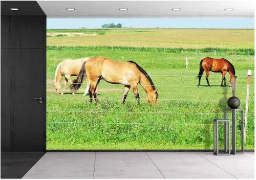 Miniatura 10 de wall26. Papel para empapelar autoadhesivo, grande, serie de mural., WMR-WP-X-C411-66x24x4