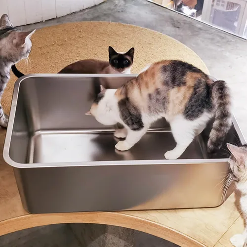 Miniatura 6 de LIHONG Caja de arena de acero inoxidable para gatos, caja de arena de metal extra grande para gatos grandes, gatitos, conejos, sin olor, 8 pulgadas