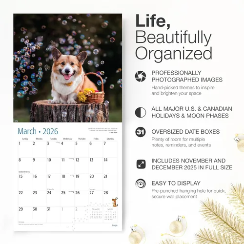 Miniatura 2 de RED EMBER Select - Calendario de pared Corgis 2026 de 12 meses 12 x 24 pulgadas abierto Papel grueso y resistente Regalo Calendario 2026