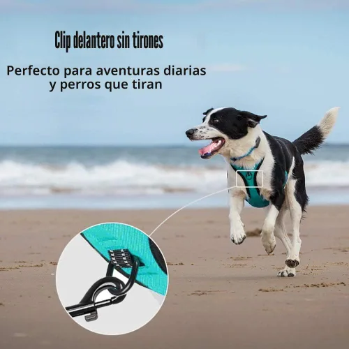 Miniatura 2 de PoyPet - Arnés reflectante para perros pequeños a grandes, sin tirones, suave, ajustable, cómodo, con parte delantera y trasera, 2 enganches