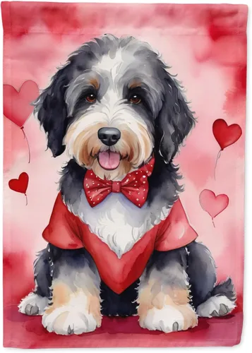 Miniatura 86 de Caroline's Treasures DAC5292CHF - Bandera de Border Collie My Valentine House para porche, grande, con manga para porche, para colgar en la pared
