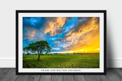 Miniatura 3 de Sky Photography Print (Not Framed) Picture of Colorful Storm Clouds Over Lone Tree at Sunset on Stormy Evening in Texas Country Wall Art Nature