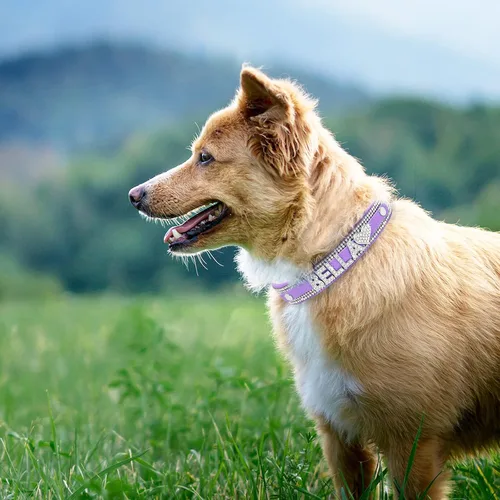 Miniatura 5 de Collar de perro de cristal Senristar personalizado con nombre brillante, collar de perro personalizado con brillantes rinestones para perro pequeño