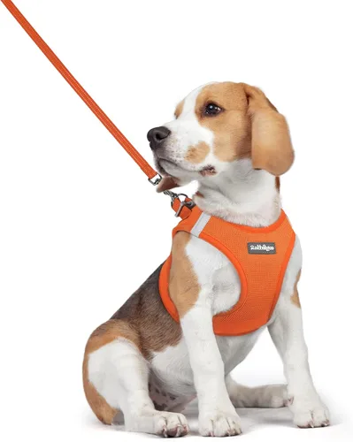 Miniatura 15 de rabbitgoo Juego de arnés para perro de tamaño pequeño y correa, chaleco ligero suave para cachorro, arnés de malla transpirable para mascotas