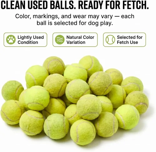 Miniatura 5 de 25-100 Pelotas de Tenis Usadas para Perros - Apoya una Organización sin Fines de Lucro de Reciclaje de EE.UU.: Pelota de Tenis Usada Limpia - Juego