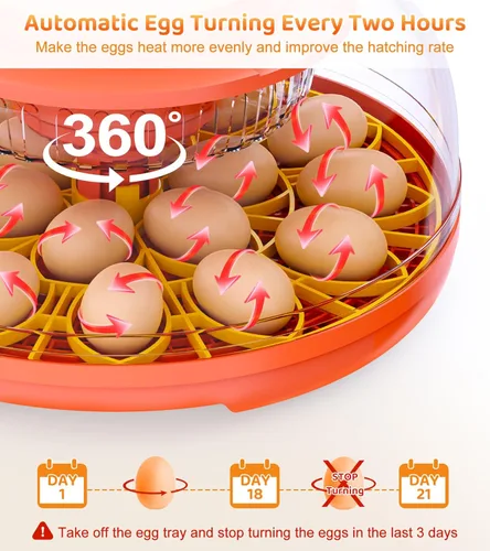 Miniatura 4 de Incubadora de 18 huevos con giro automático de huevos, control digital de humedad de temperatura, incubadora para incubar huevos, vela de vista