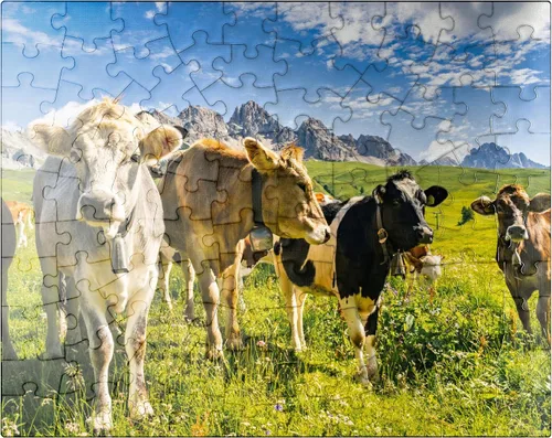 Miniatura 8 de MyPuzzle Cows in Front of an Idílico Alpine Landscape - Rompecabezas prémium de 1000 piezas para adultos