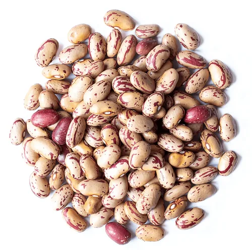 Miniatura 3 de Food to Live Frijoles de arándano, 25 libras – Frijoles Borlotti secos, germinables, veganos, kosher, a granel. Buena fuente de folato, fibra