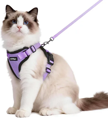 Miniatura 74 de rabbitgoo Juego de arnés y correa para gatos, arnés a prueba de escapes para paseos seguros al aire libre, chaleco suave transpirable ajustable