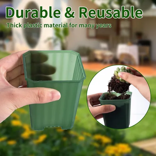 Miniatura 4 de Macetas de vivero transparentes verdes de 3 pulgadas de Foxany, 30 piezas de maceta de plástico grueso, paquete variado de macetas cuadradas
