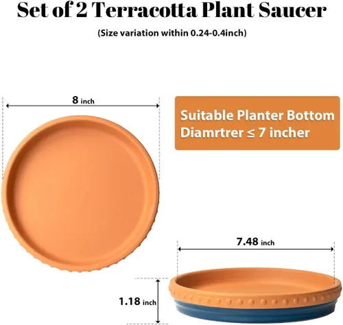 Miniatura 3 de YBX Platillo para Plantas de 8 Pulgadas Premium Platillo de Terracota Redondo Bandejas Cerámicas para Plantas, Paquete de 2 (Azul Marino/Terracota)