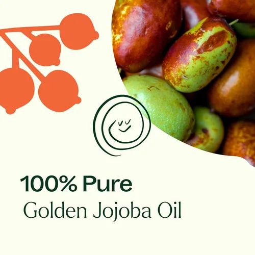 Miniatura 6 de Plant Therapy Aceite portador dorado de jojoba de 4 onzas, 100% puro, prensado en frío, natural y libre de OGM y aceite portador para aceites