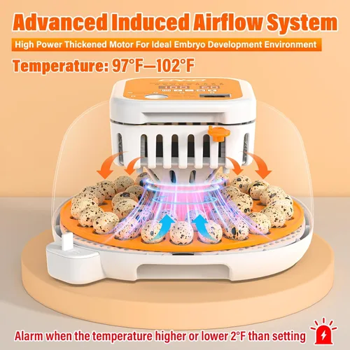 Miniatura 2 de 36 incubadoras de codorniz para incubar huevos, incubadora de huevos de codorniz con giro automático de huevos y control de humedad, control