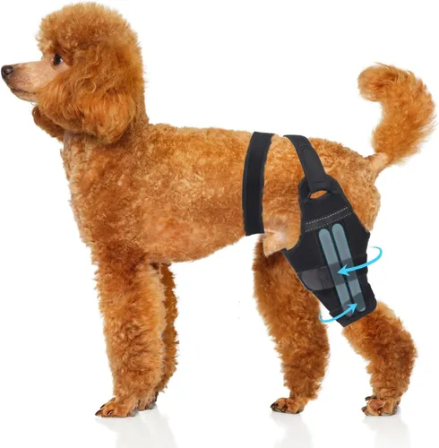 Rodillera ajustable para perro ACL - Soporte de pierna trasera para recuperación del ligamento cruzado, artritis y alivio del dolor articular
