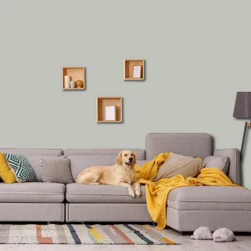 Miniatura 2 de PRESTIGE Paints - Pintura interior e imprimación en uno, 1 galón, cáscara de huevo, pimienta envejecida