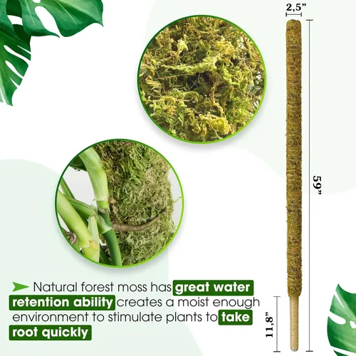 Miniatura 2 de DUSPRO Poste no doblable de 59 pulgadas para plantas trepadoras grandes, poste de musgo grande para Monstera, estacas para plantas