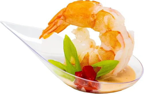 480 Estuche Platos Pequeños Transparentes para Aperitivos Mini Cucharas de Postre de Plástico de Grado Profesional Reciclables para Fiestas Bandeja
