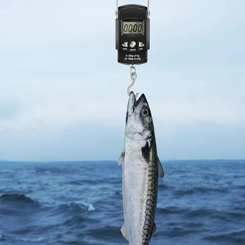 Miniatura 5 de Sosation 134 piezas Kit de herramientas de pesca Equipo y accesorios para hombres adultos familia Juego de alicates, herramienta para quitar Azul