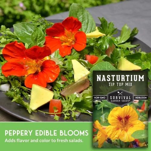 Miniatura 5 de Tip Top Mix - Semillas de capuchina para plantar al aire libre, variedad de flores comestibles y plantas complementarias, semillas sin OMG