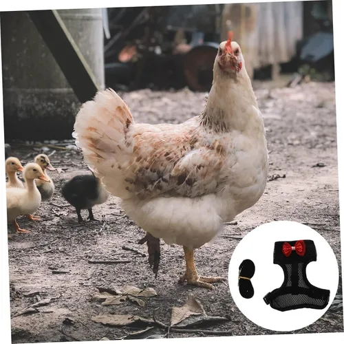 Miniatura 7 de Juego de arnés y correa de pollo para mascotas con cuerda de tracción ajustable, arnés de gallo duradero para paseos al aire libre y animales