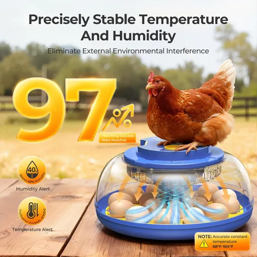Miniatura 3 de 18 incubadoras de huevos para incubar huevos, vista de 360° con volteo automático de huevos y control de humedad, ovoscopio integrado para incubar