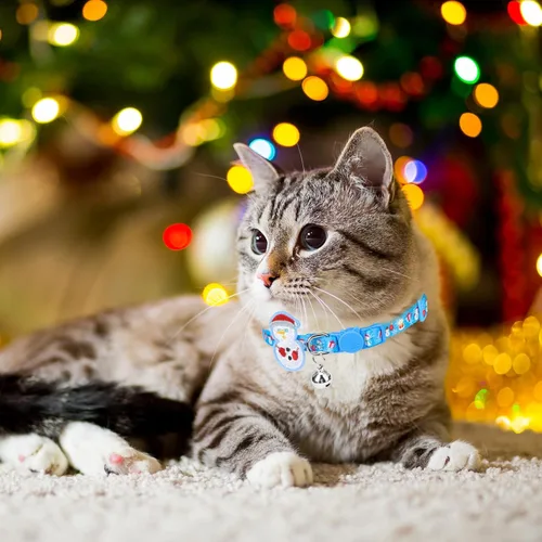 Miniatura 7 de PUPTECK Collar de gato con campanas, collar de gatito ajustable para niñas y niños pequeños, cachorro, conejito, bonito accesorio de disfraz