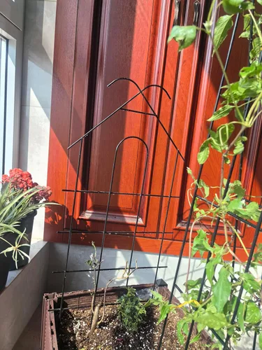 Miniatura 6 de ARIFARO Enrejado de metal de 24 pulgadas para plantas trepadoras, paquete de 4 enrejados para plantas en maceta, enrejado negro para interiores