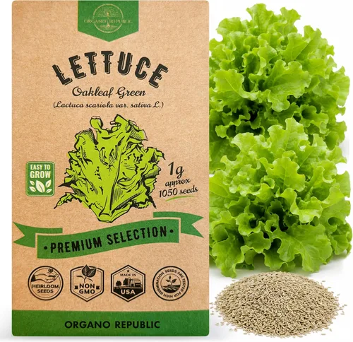 Organo Republic Paquete de Semillas de Lechuga Hoja de Roble 1 G - Más de 800 Semillas de Lechuga Reliquia Sin OMG para Plantar Verduras en Paquete
