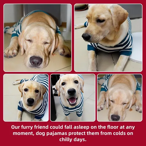 Miniatura 7 de Pijama para perros, pijamas para perros pequeños, pijamas de Navidad para perros, pijamas para perros y niñas, pijamas para perro, overol