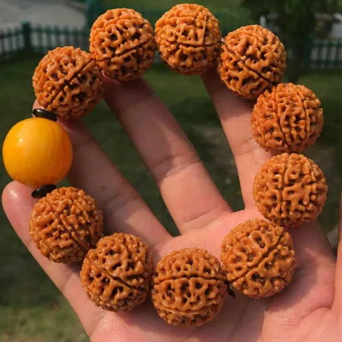 Miniatura 4 de Pulsera de la suerte con cuentas de turquesa Rudraksha natural de 0.984in #18365