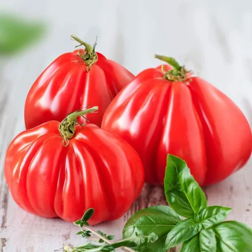 Miniatura 25 de Semillas de huerto para plantar - Cultivar verduras tradicionales (tomate bistec)