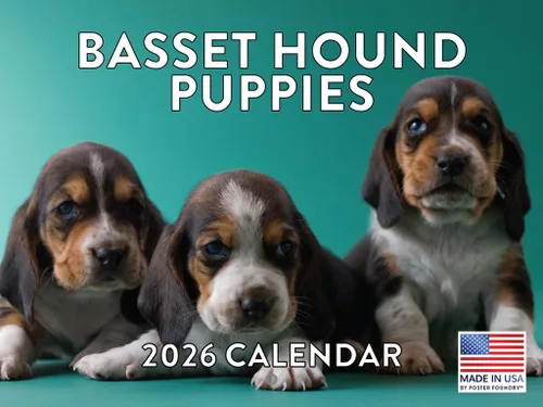 Miniatura 46 de Calendario de pared mensual 2025 Great Dane de 12 meses, fabricado en Estados Unidos
