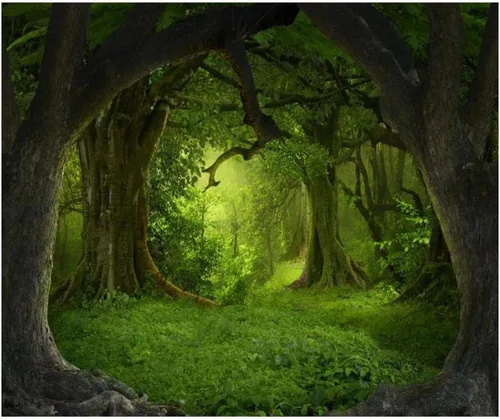 Miniatura 7 de Leowefowa Telón de fondo verde de bosque de selva de 6 x 4 pies para cumpleaños, bosque encantado, pastizales verdes, fondo de fotografía de vinilo