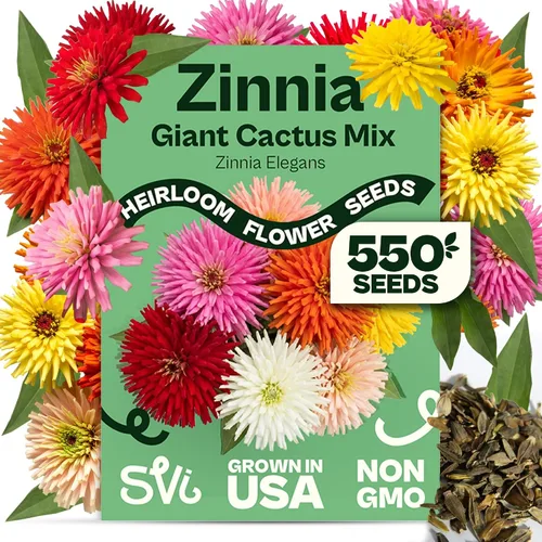 Miniatura 12 de Queen Anne 's Lace- 200 semillas – 50% de descuento venta