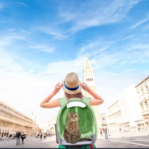 Miniatura 6 de Henkelion Mochila de viaje Bolsa de transporte de burbujas para perros pequeños y medianos, gatos, cápsula espacial para mascotas, perro para Verde