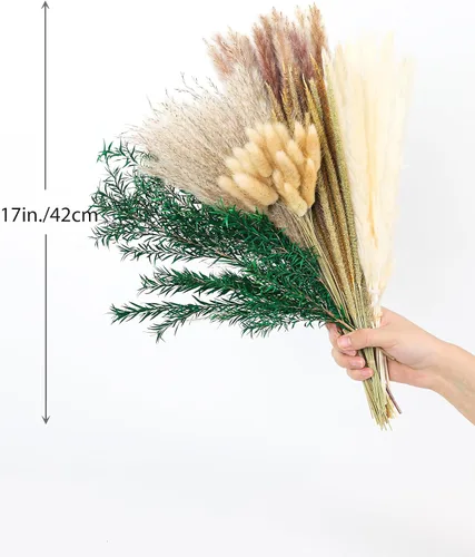 Miniatura 3 de xin's convey 100 piezas de hierba de las pampas (jarrón no incluido), ramos de flores secas, decoración de mesa de boda, dormitorio, decoración Verde