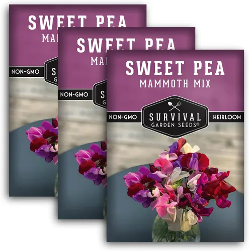 Miniatura 11 de Survival Garden Seeds - Semilla de guisante dulce de mamut para plantar - Paquete con instrucciones para plantar y cultivar flores fragantes en su