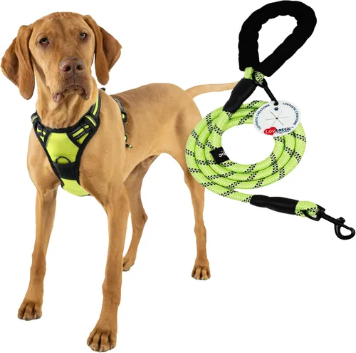 Miniatura 15 de Arnés sin tirones para perro, con correa fuerte y duradera y soporte para bolsas de excrementos, juego de 3 piezas Arnés reflectante sin