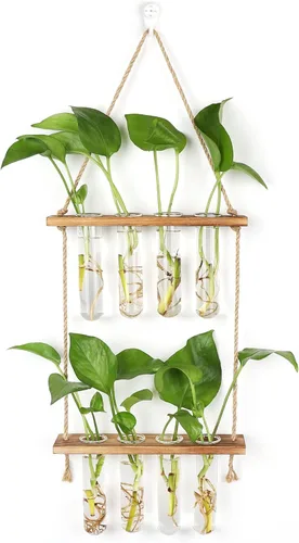 Hyindoor Maceta Colgante de Pared Terrario Jarrón de Vidrio de 2 Niveles con Tubos de Ensayo, Estación de Propagación de Plantas, Colgadores de