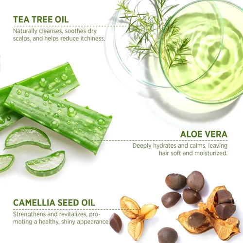 Miniatura 3 de Roycederm Champú y acondicionador antifúngico de árbol de té: solución completa para el cuidado del cuero cabelludo para foliculitis, cuero