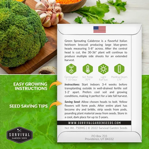 Miniatura 2 de Green Sprouting - Semillas de brócoli Calabrese para plantar, variedad de reliquia para huertos domésticos, cultivo de alto rendimiento, clima