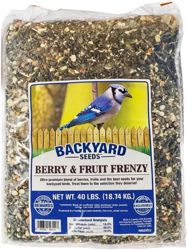 Miniatura 16 de Backyard Seeds Finch & Small Songbird Frenzy 5lbs – Mezcla de semillas de cardo Nyjer prémium para comederos de pinzones, bolsa pequeña de comida