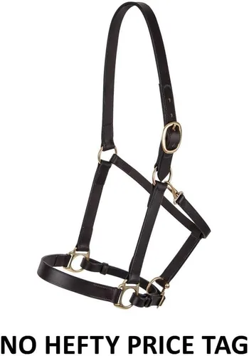 Miniatura 3 de Dura-Tech Premier Lancaster - Cabestro de cuero para caballos Cabestro de cuero económico simple con ajuste ajustable y herrajes de latón macizo