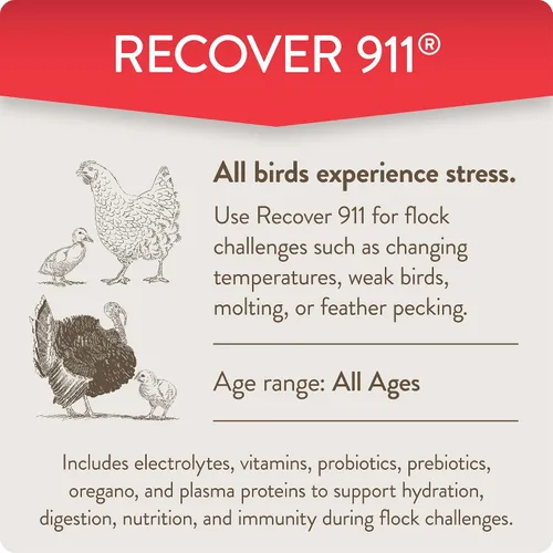Miniatura 4 de FlockLeader Recover 911, Suplemento de Agua Probiótico para Estrés Severo para Pollos con Electrolitos, Prebióticos y Orégano, para la Muda, Clima