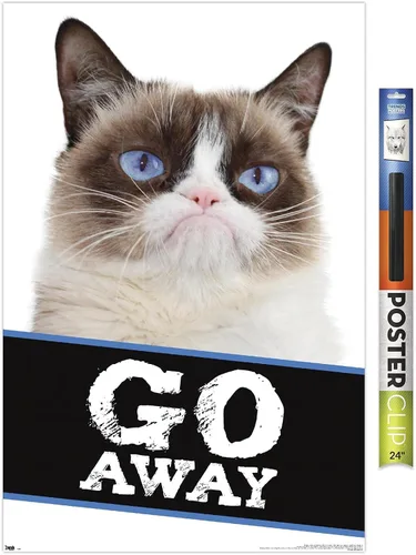 Miniatura 16 de Trends International Grumpy Cat - Póster de pared con texto en inglés «Go Away», 14.725 x 22.375 pulgadas, versión enmarcada de madera de granero