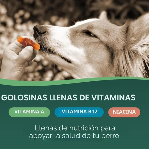 Miniatura 4 de Golosinas de batata con pollo envuelto para perros Healthfuls, 16oz