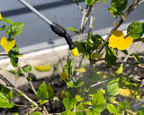 Miniatura 9 de Pulverizador a batería sin bombeo, translúcido