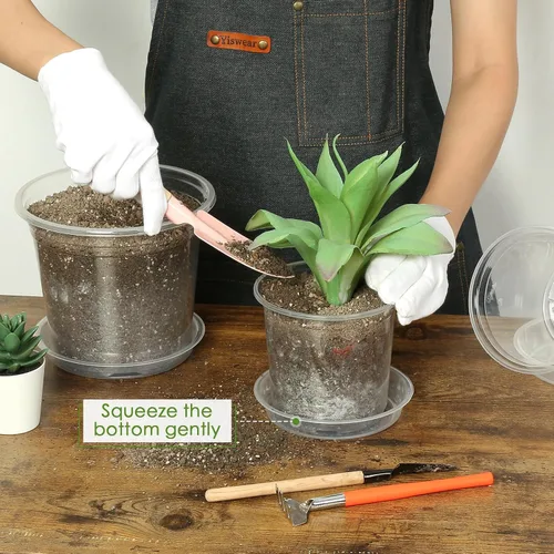 Miniatura 4 de FUIJOL Macetas transparentes de 4 pulgadas para plantas con platillos, paquete de 15, macetas de plástico con agujeros de drenaje, paquete variado