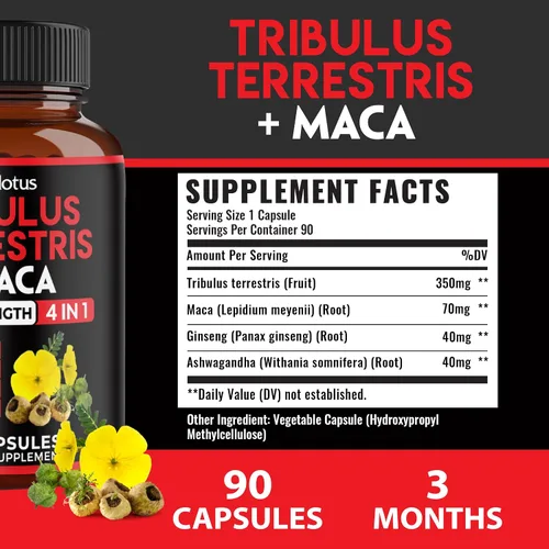 Miniatura 2 de Zolotus Cápsulas Premium de Tribulus Terrestris - Combinadas con Ashwagandha, Panax Ginseng y Maca - 90 Unidades para 3 Meses